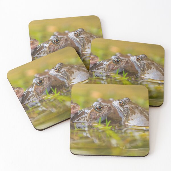 Item preview, Frogs designed and sold by RobKellyPhoto.