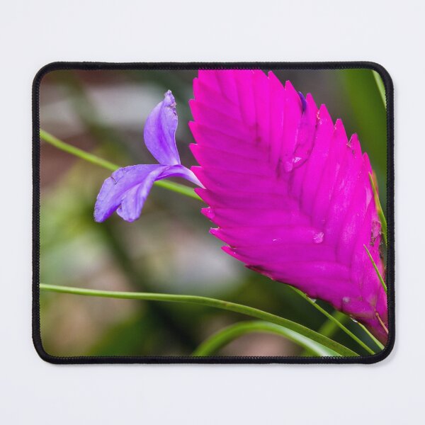 Item preview, Pink Quill designed and sold by iCimages.net.
