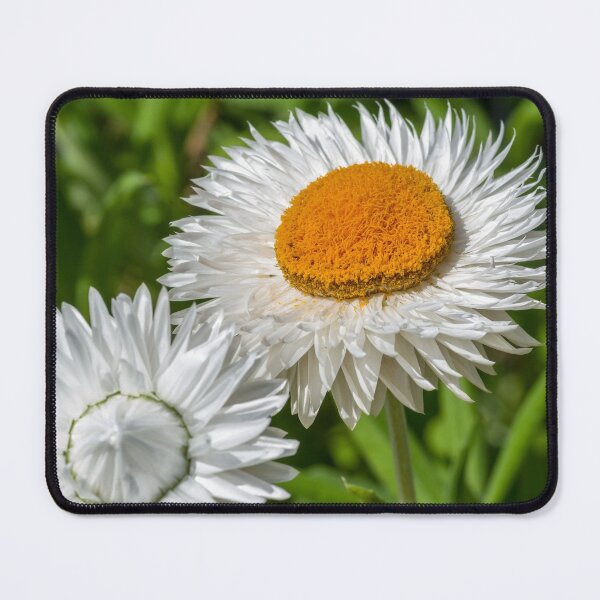 Item preview, Everlasting Spring designed and sold by iCimages.net.