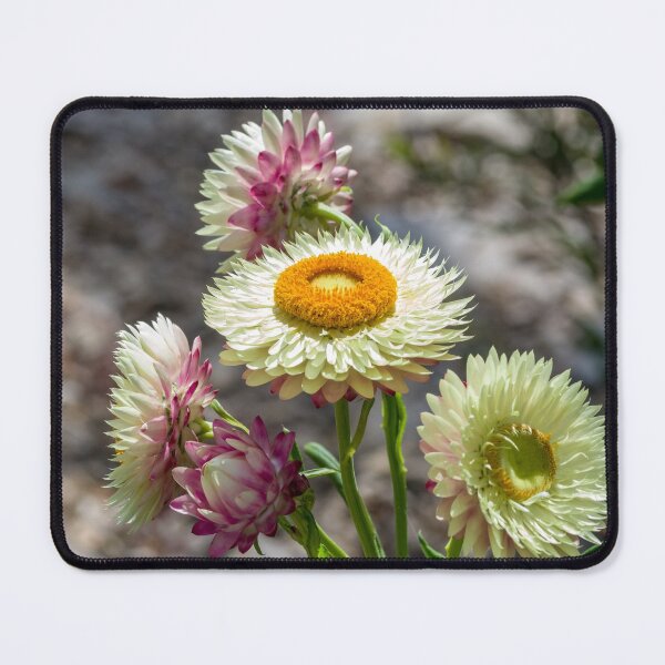 Item preview, Everlasting flowers designed and sold by iCimages.net.