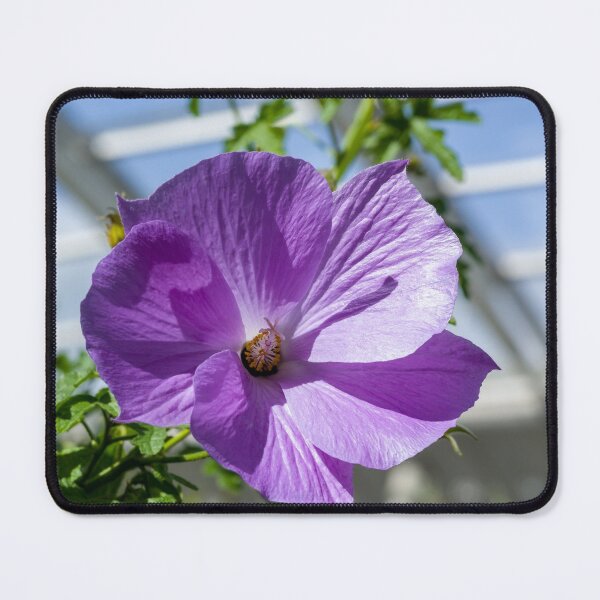 Item preview, Beautiful Purple Flower designed and sold by iCimages.net.