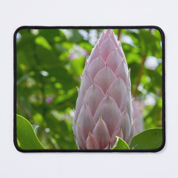 Item preview, Giant Protea Flower designed and sold by iCimages.net.