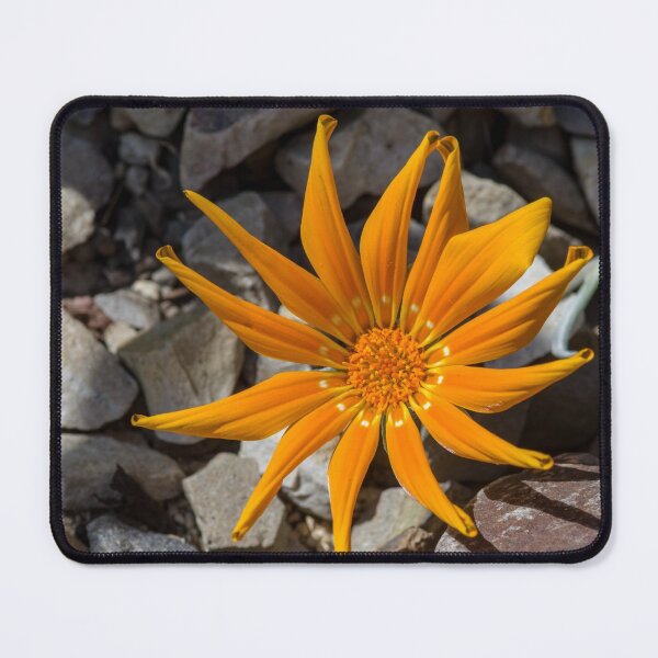 Item preview, Orange star flower designed and sold by iCimages.net.