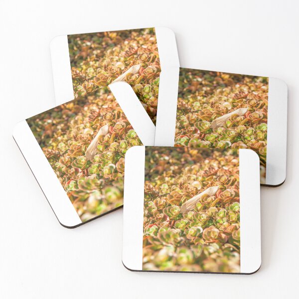 Item preview, Ground Cover designed and sold by Matthew Carroll.