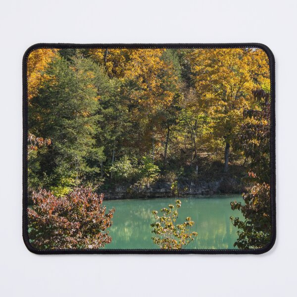 Item preview, Dogwood Autumn Scene designed and sold by mljdwhite.