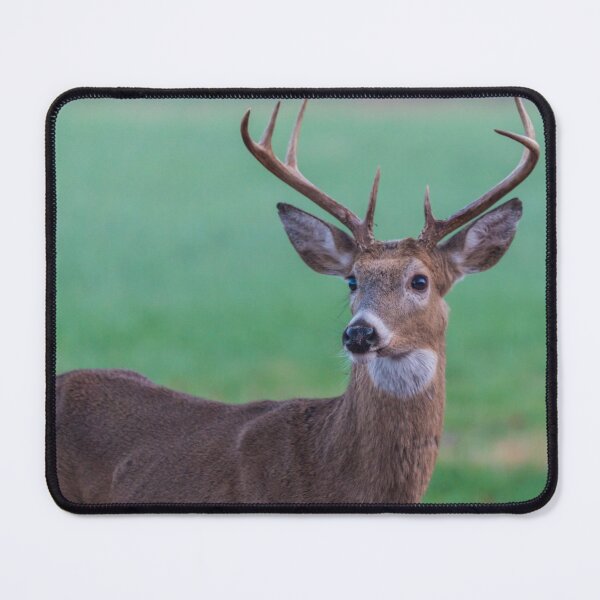 Item preview, Seven Point Buck designed and sold by mljdwhite.
