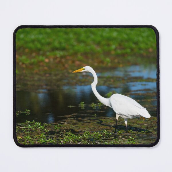 Item preview, Hunting Egret designed and sold by mljdwhite.