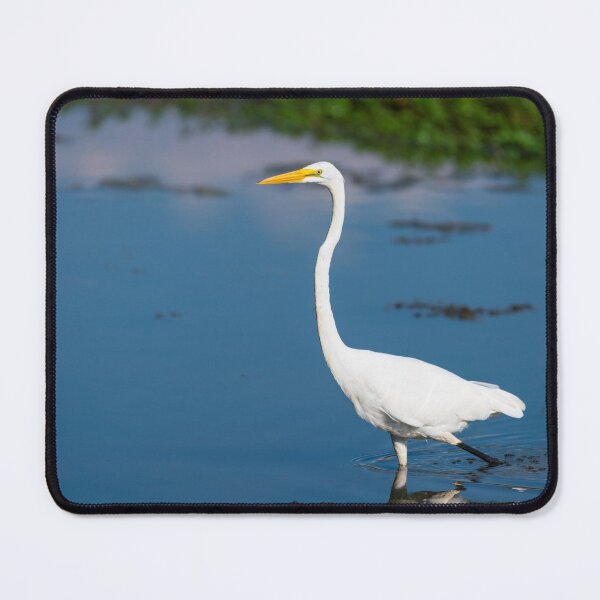 Item preview, Portrait Of Great White Egret designed and sold by mljdwhite.