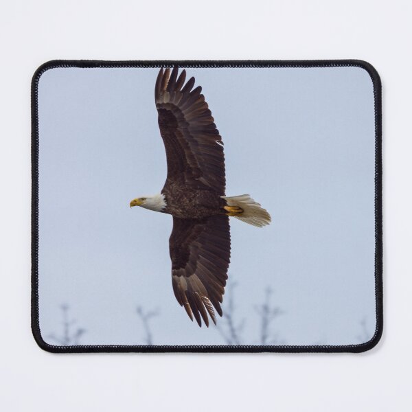 Item preview, Eagle Wing Spread designed and sold by mljdwhite.