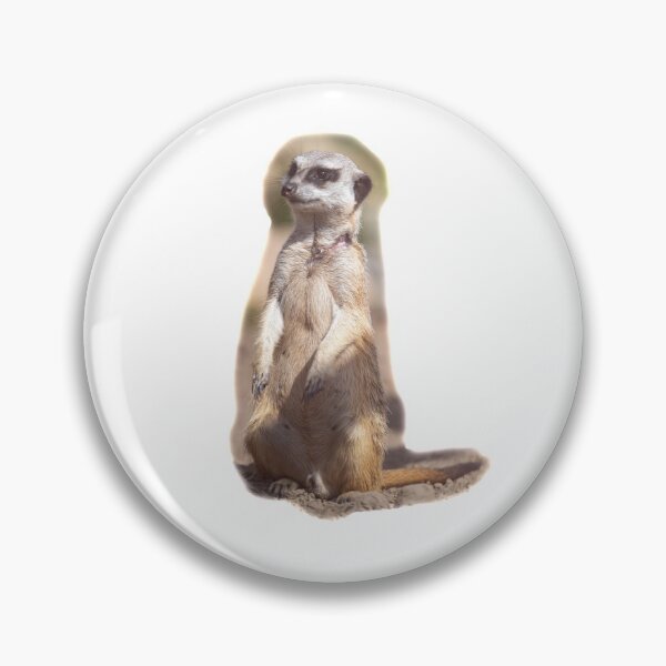 Item preview, Meerkats in the zoo designed and sold by OskiOnTour.