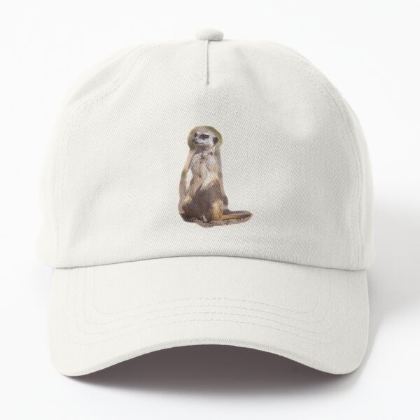 Erdmännchen im Tierpark Dad Hat
