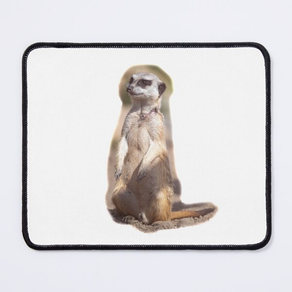 Item preview, Meerkats in the zoo designed and sold by OskiOnTour.