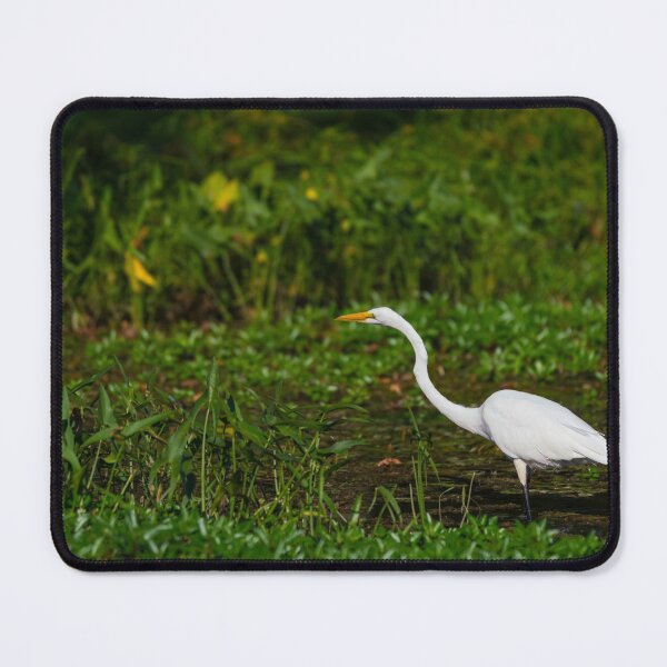 Item preview, White Egret Hunting designed and sold by mljdwhite.