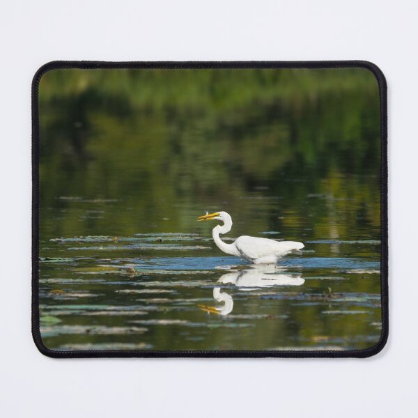 Item preview, Egret Fish Feast designed and sold by mljdwhite.