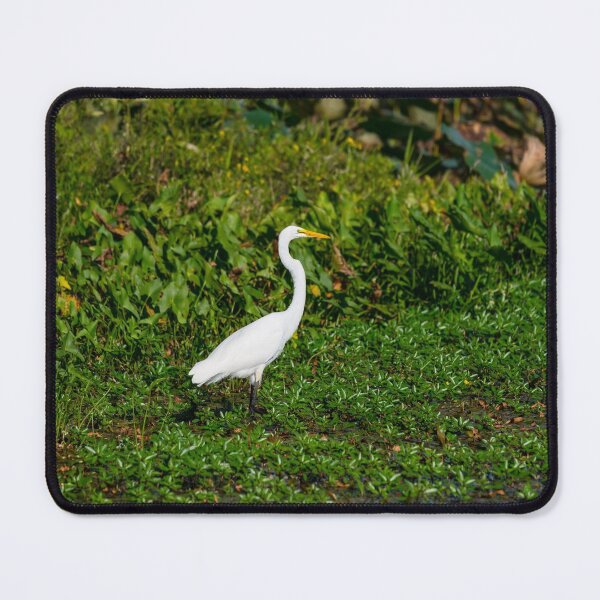 Item preview, The Egret Hunt designed and sold by mljdwhite.