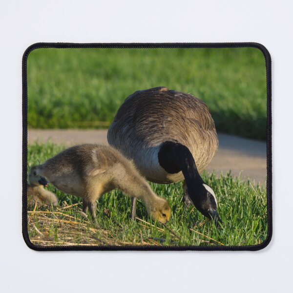 Item preview, Copying Dad designed and sold by mljdwhite.