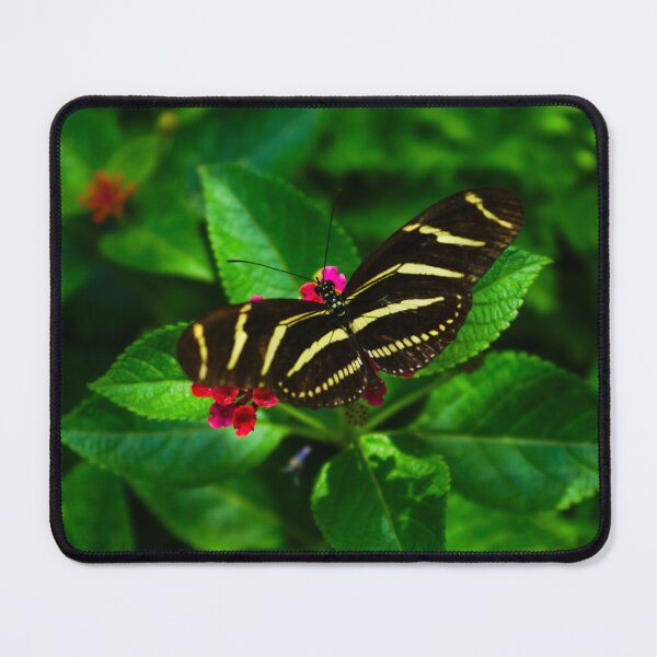 Item preview, Zebra Longwing Butterfly designed and sold by mljdwhite.