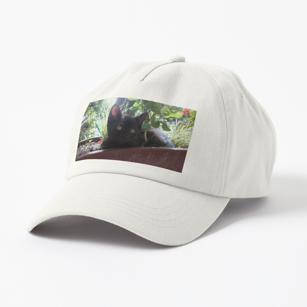 Kater Paule als Blume Cap