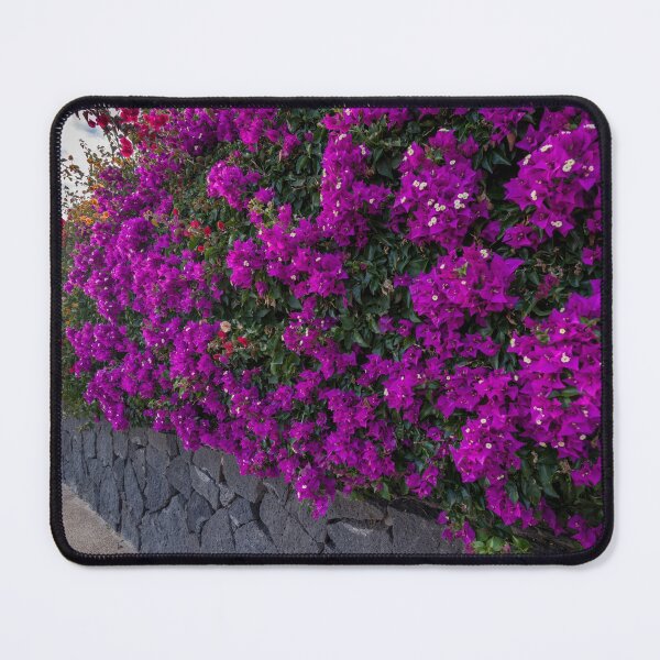 Item preview, Walled Bougainvillea designed and sold by iCimages.net.