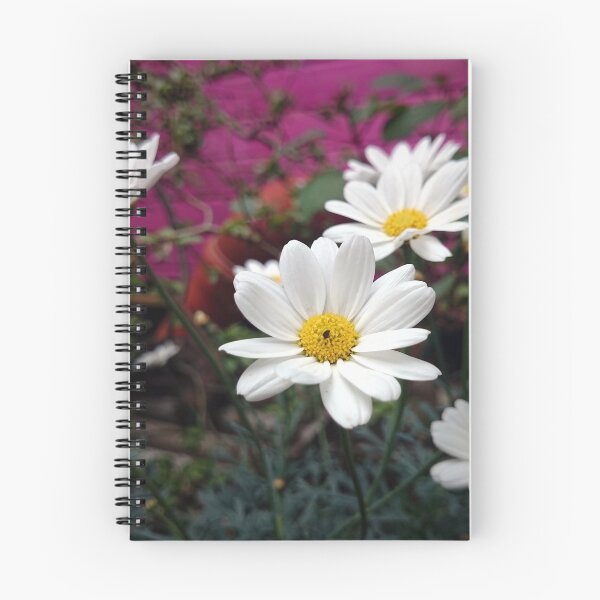 Item preview, Marguerite designed and sold by Gourmetkater.
