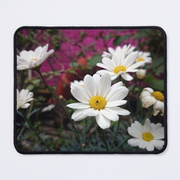 Item preview, Marguerite designed and sold by Gourmetkater.