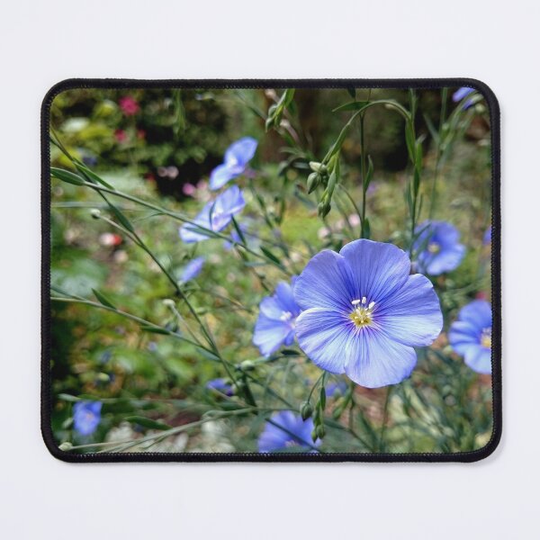Item preview, Flax flower designed and sold by Gourmetkater.