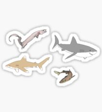 Sharks 1 Sticker