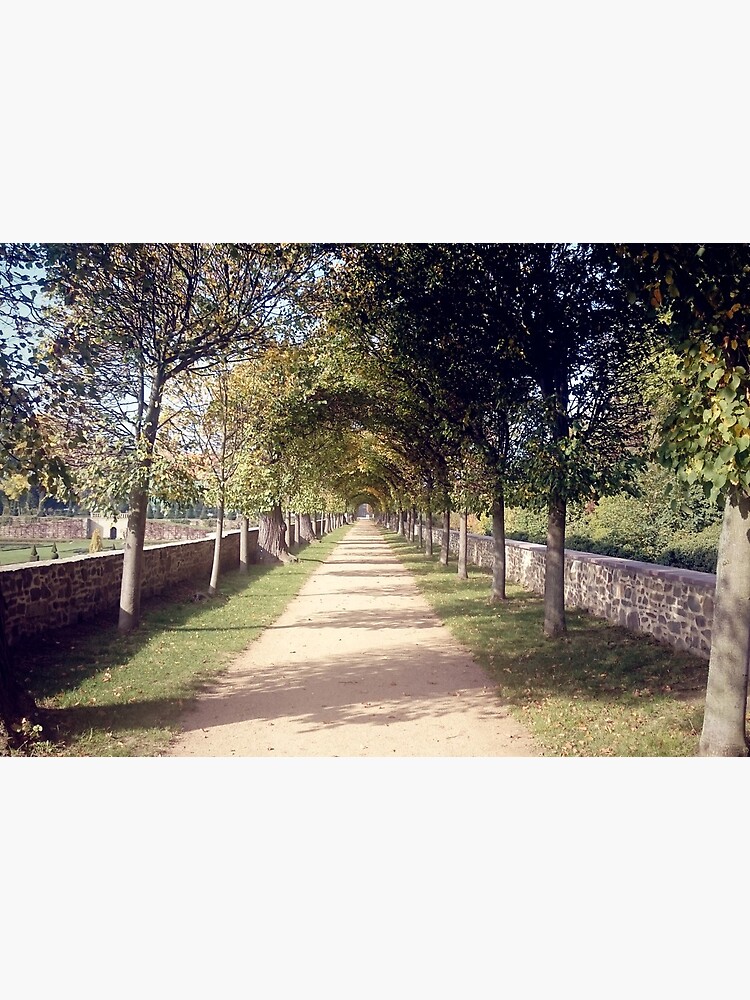Park-Allee von Gourmetkater