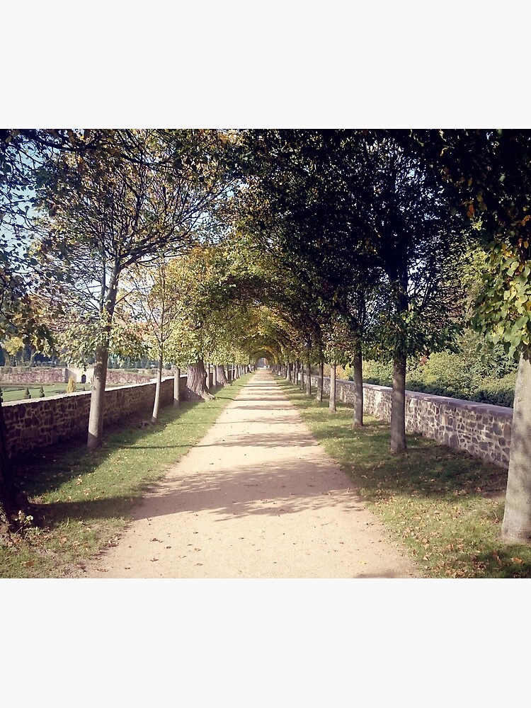 Park-Allee von Gourmetkater