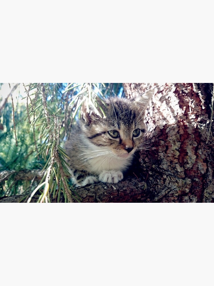 Tiger auf Baum von Gourmetkater
