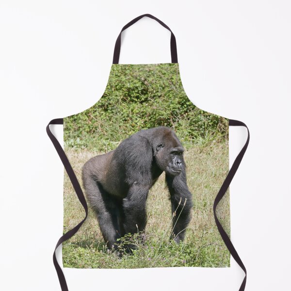Item preview, r1017 / Finition 2021 -- " Gorille en attente ! " 2014 (c)(t) Olavia-Olao Okaio Créations designed and sold by o.okaïo.