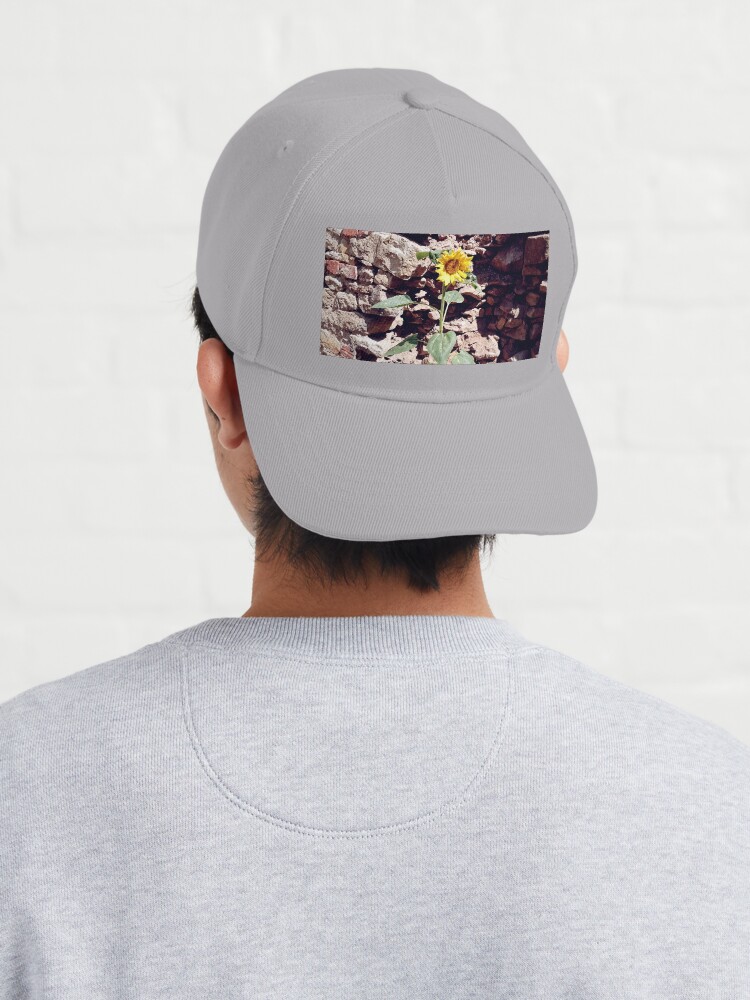 Alternative Ansicht von Sonnenblume vor Burg-Mauer Cap
