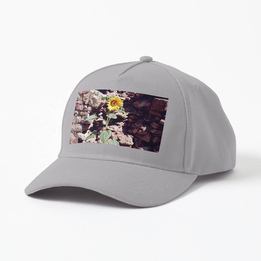 Sonnenblume vor Burg-Mauer Cap
