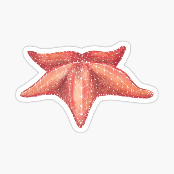 starfish Sticker