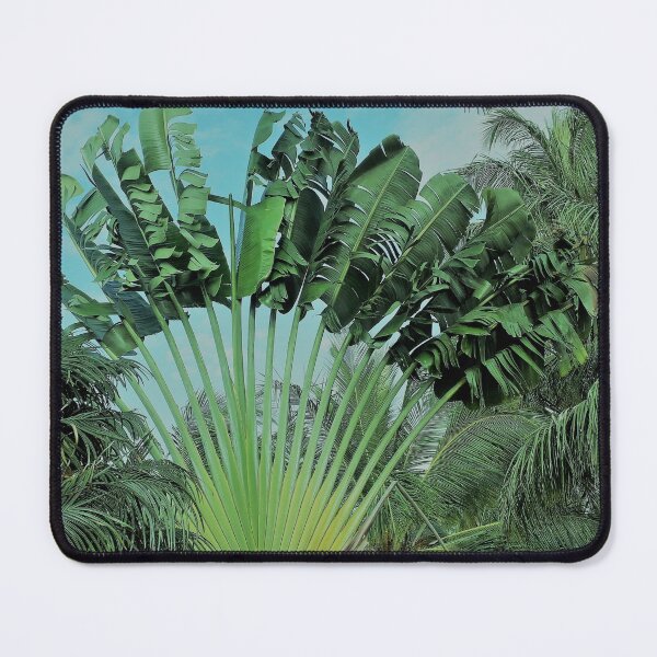 Item preview, beautiful green palm trees in Brazil designed and sold by marciel guia.