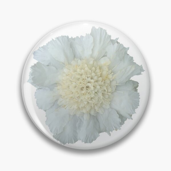 Item preview, White Scabious Flower Still Life Floral Photography designed and sold by CottoVerdi.