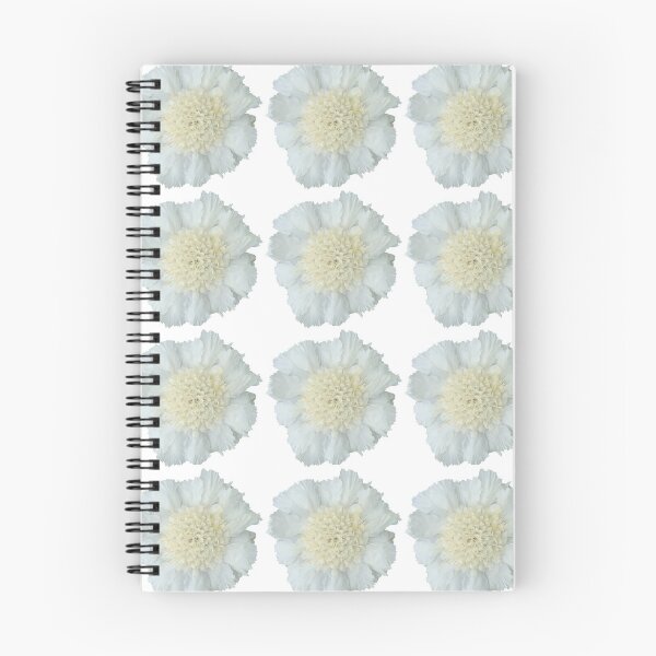 Item preview, White Scabious Flower Still Life Floral Photography designed and sold by CottoVerdi.
