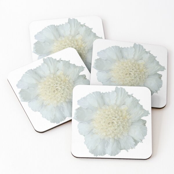 Item preview, White Scabious Flower Still Life Floral Photography designed and sold by CottoVerdi.