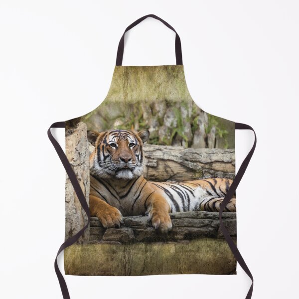 Artikelvorschau, Malayischer Tiger liegt auf den Felsen Artistik entworfen und verkauft von KbytesOfJax Outdoor and Nature.
