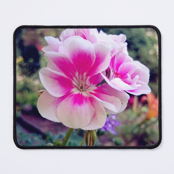 Item preview, geranium designed and sold by Gourmetkater.