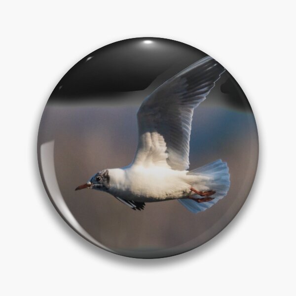 Item preview, Seagull in Flight designed and sold by OskiOnTour.