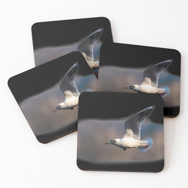 Item preview, Seagull in Flight designed and sold by OskiOnTour.