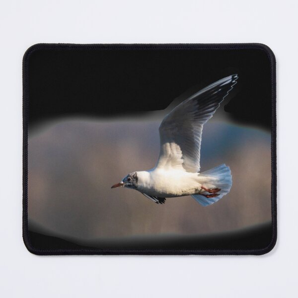 Item preview, Seagull in Flight designed and sold by OskiOnTour.