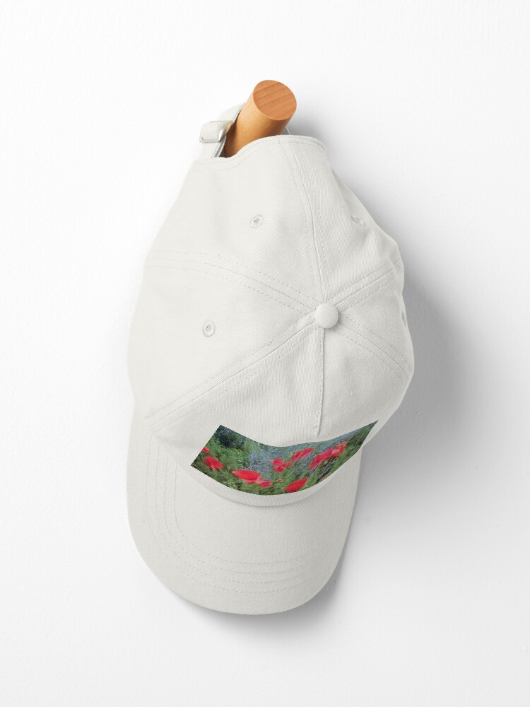 Alternative Ansicht von Mohn vor Salbei Cap
