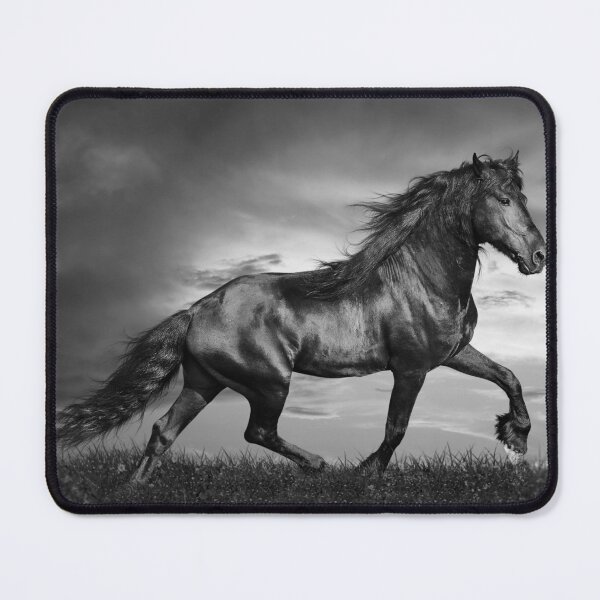 Item preview, Black Friesian Stallion Prancing Through Field designed and sold by StampCity.