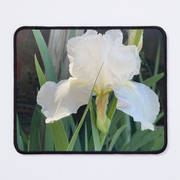 Item preview, Iris white designed and sold by Nearly70.