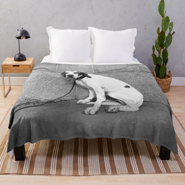 Item preview,  Dog on a leash designed and sold by Night-parade.