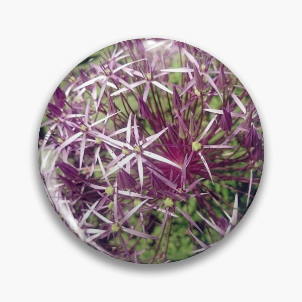 Item preview, Allium designed and sold by Gourmetkater.