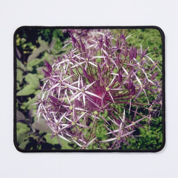 Item preview, Allium designed and sold by Gourmetkater.