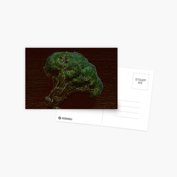 Natural and Ecological Postcard